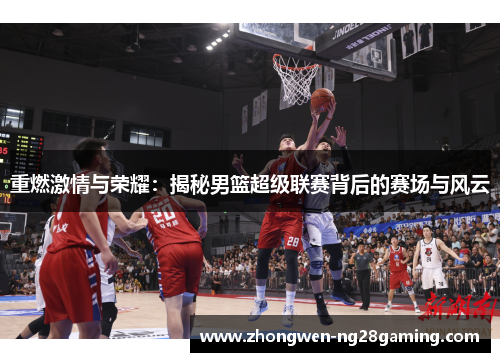 重燃激情与荣耀：揭秘男篮超级联赛背后的赛场与风云